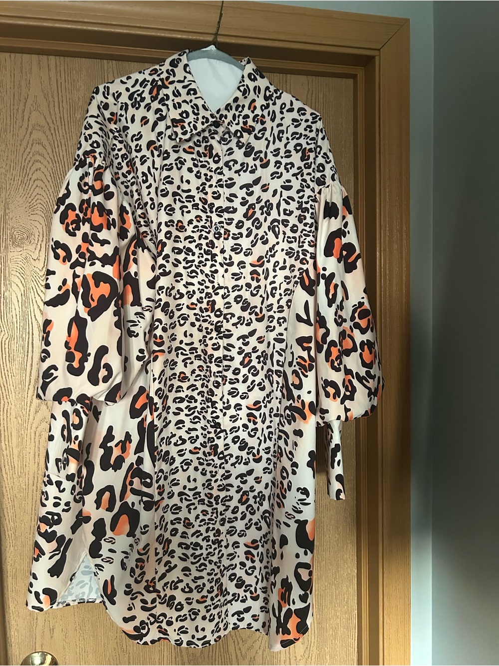 Women's Cream Leopard Print Button-Front Dress